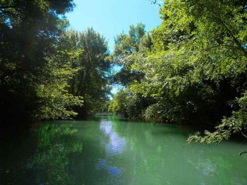 Photo 2. K-NOE, promenade en canoës sur l'Argens à Correns, dans le Var.